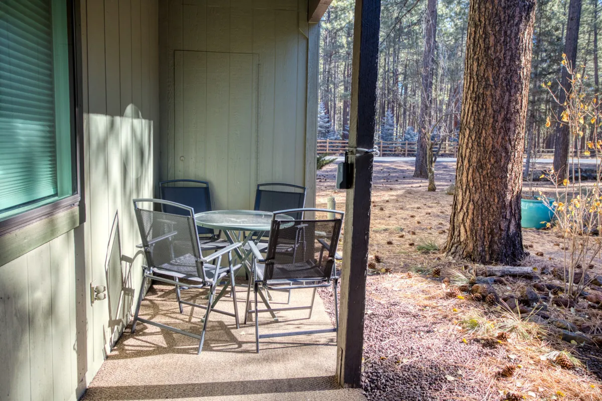 A peaceful outdoor scene featuring a glass table surrounded by metal chairs, set on a porch with tall pine trees in the background. The space exudes a relaxed, social vibe, ideal for morning coffee, afternoon reading, or gathering with friends against a natural, wooded backdrop.